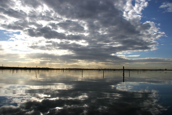 Marine industries back marine park review